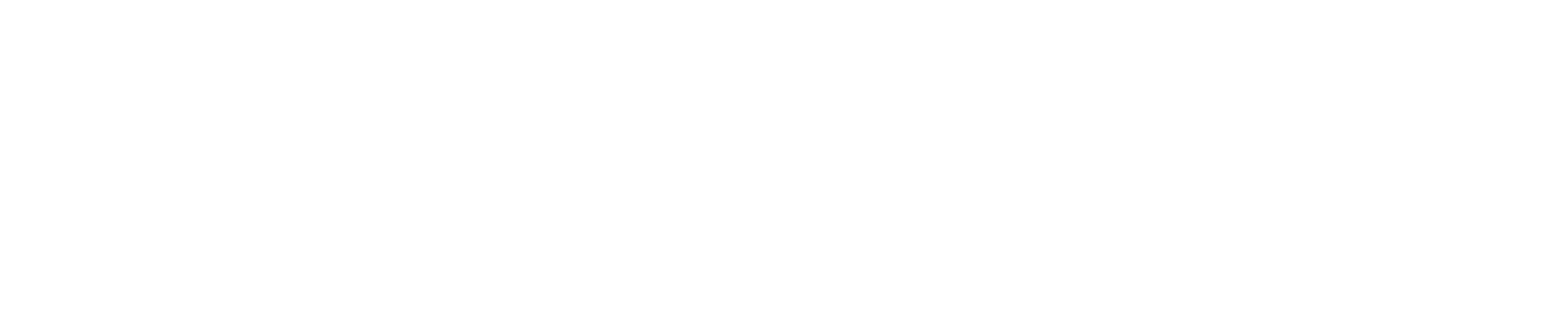 Zigett